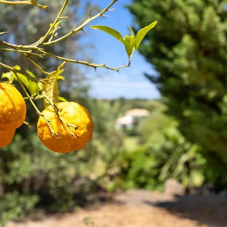 Villa Peaceful 4br On Gramacho Golf W/ Private Pool Lagoa (Algarve)