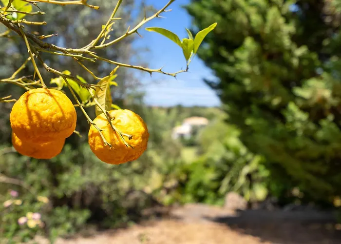 Willa Peaceful 4br On Gramacho Golf W/ Private Pool Lagoa (Algarve)